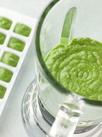 Blended broccoli and spinach baby food in a blender on a counter. 