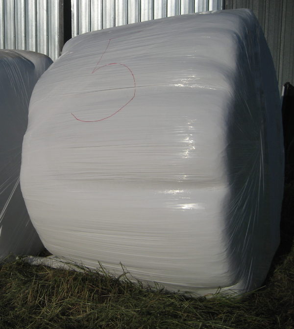 Individual hay bales wrapped in plastic