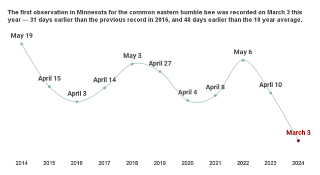 Chart showing trends for bumble bee emergence timing from 2014 to 2024. The trend shows earlier and early dates of first emergence from May 19, 2014 to March 3, 2024, 31 days earlier than the previous record on April 3, 2016 and 48 days earlier than the 10-year average.