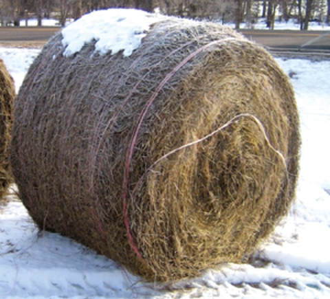 twine wrapped round bale