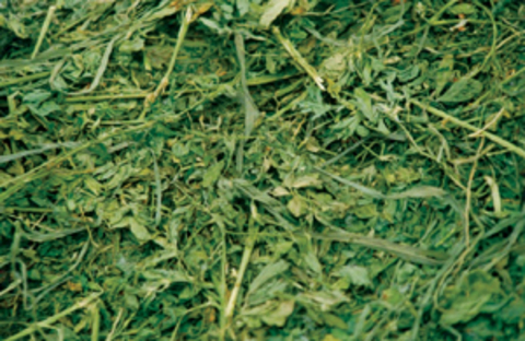Alfalfa-grass hay mix