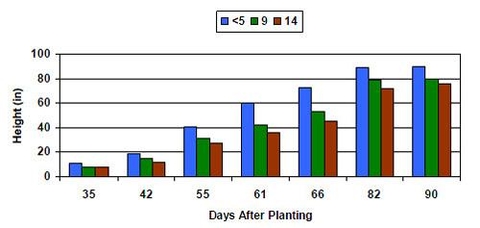 bar graph illustrating the effect of compaction and number of days after planting.