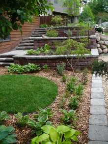 A garden with different types of perennial plants