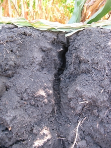 underground view of soil with a deep cracking from ground downward.