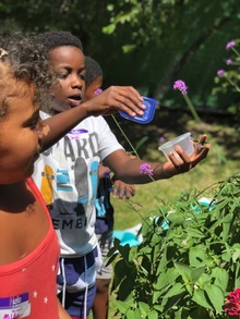 Three young children collect plants and pollinators as part of the Children' Garden in Residence program