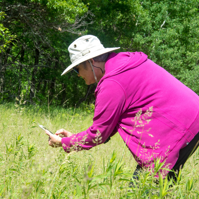 Master Naturalist identifying plants in a field with a phone application.