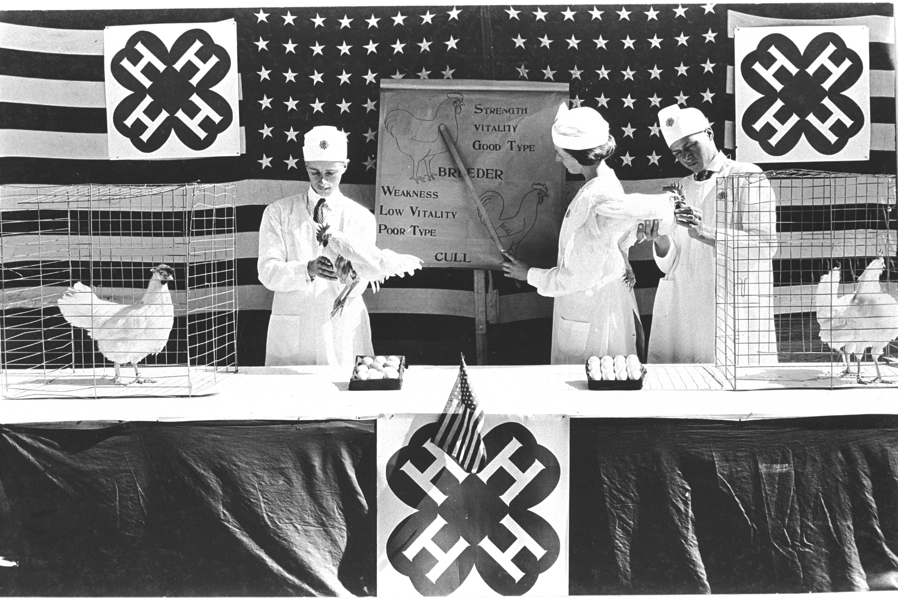 historical black and white photo of 4-H poultry presentation