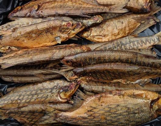 rows of dried whole fish