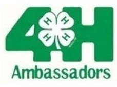 Graphic: "4-H Ambassadors" with 4-H clover emblem