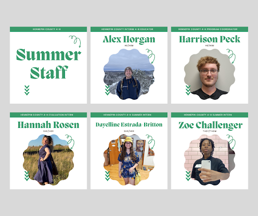 4-H Summer Staff, Alex Horgan, Harrison Peck, Hannah Rosen, Dayelline Estrad Britton, and Zoe Challenger