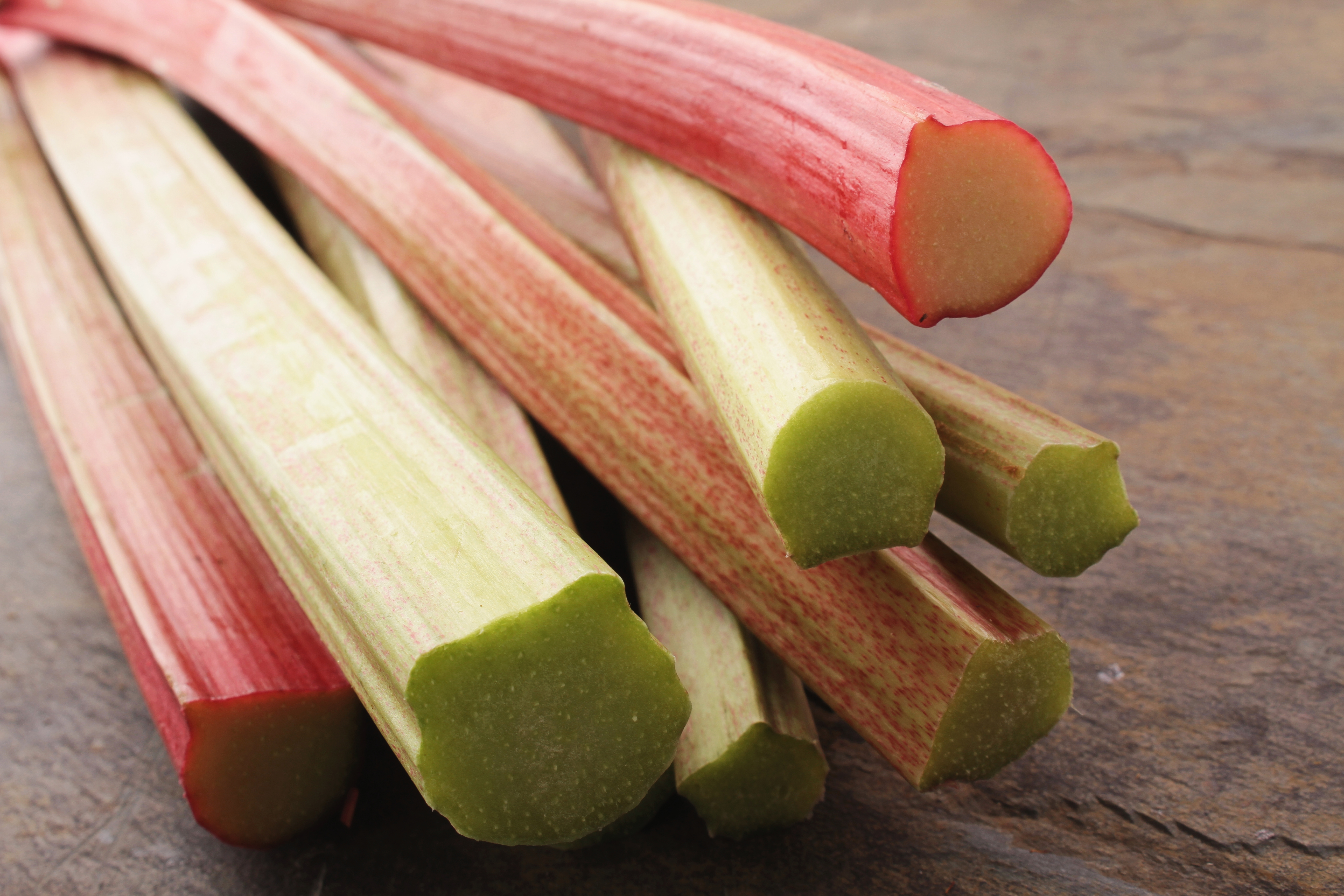 What Is Rhubarb? And What to Make with Rhubarb