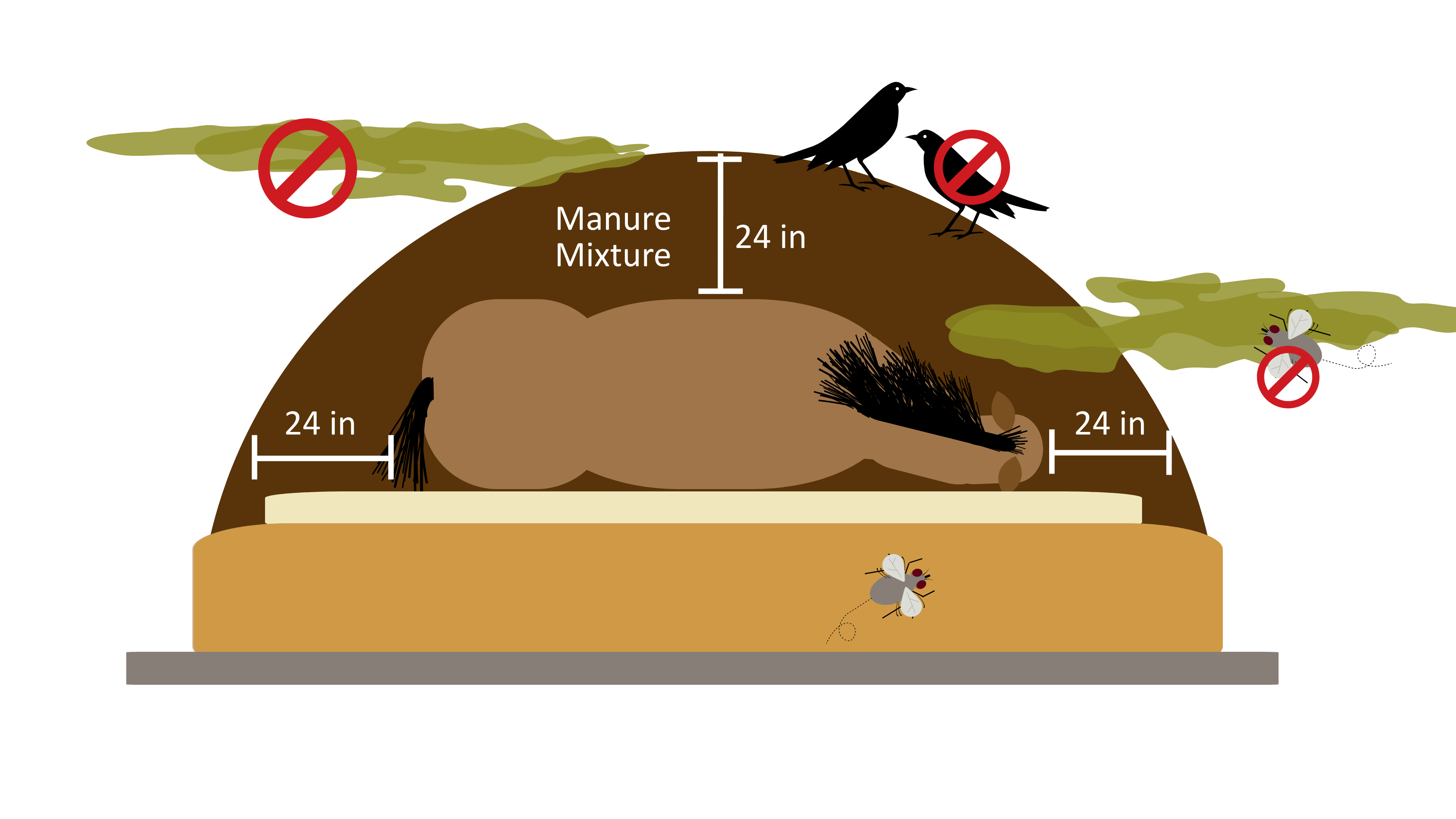 Constructing and managing a horse carcass compost pile | UMN Extension