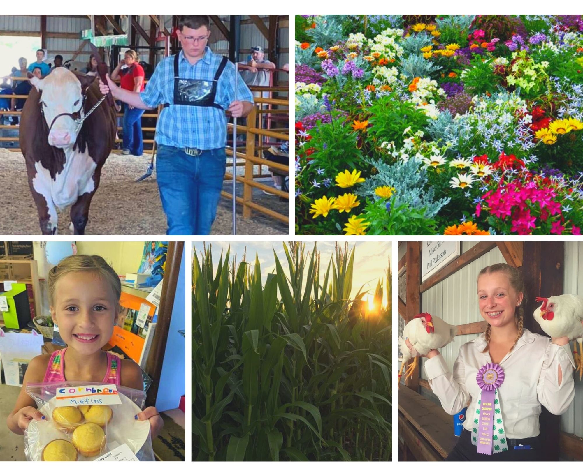 Benton County Fair MN - 