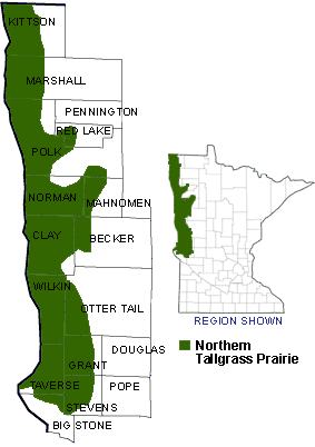 Map of northern prairie region of Minnesota shaded to show ecological regions