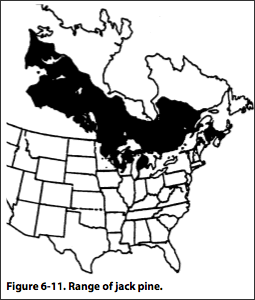 Map showing range of jack pine in Canada and the United States