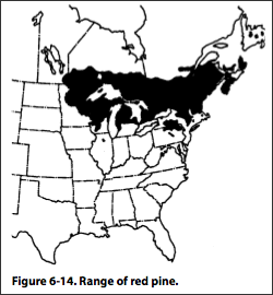 Map of the range of red pine in Canada and the United States
