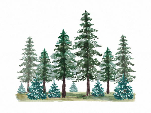 GIF showing an illustrated example of resilience forest management