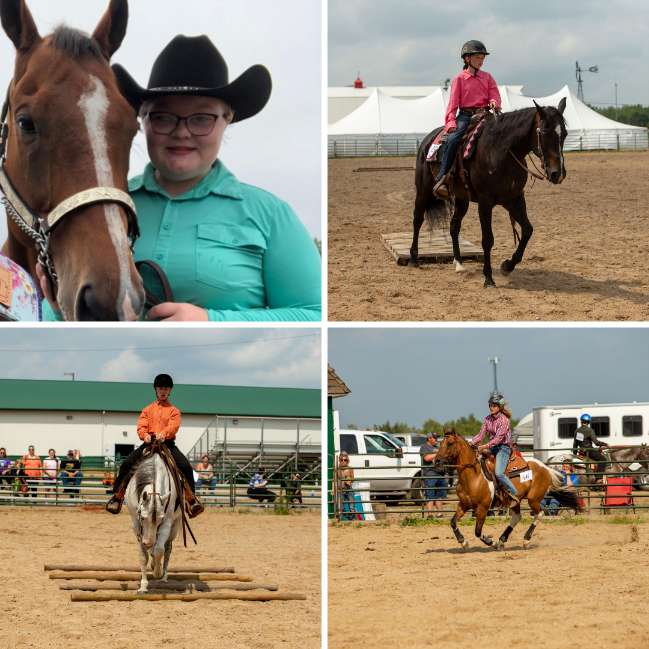 State Horse Show