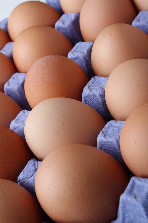 Eggs in carton.
