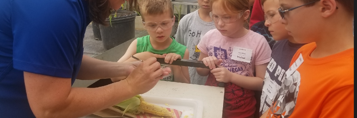 4-H plant science project