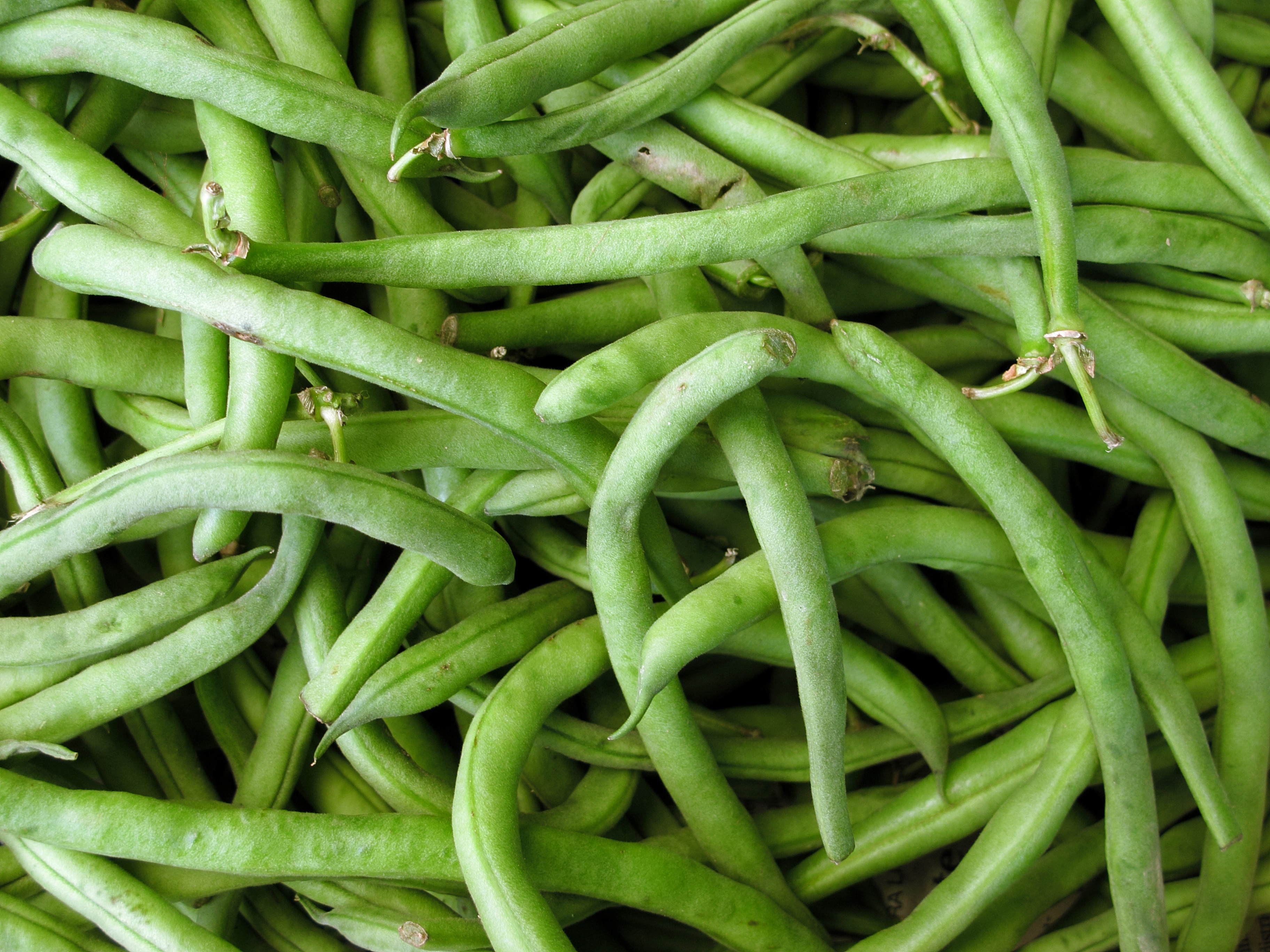 Cut Green Beans Frozen Nutrition Facts - Eat This Much