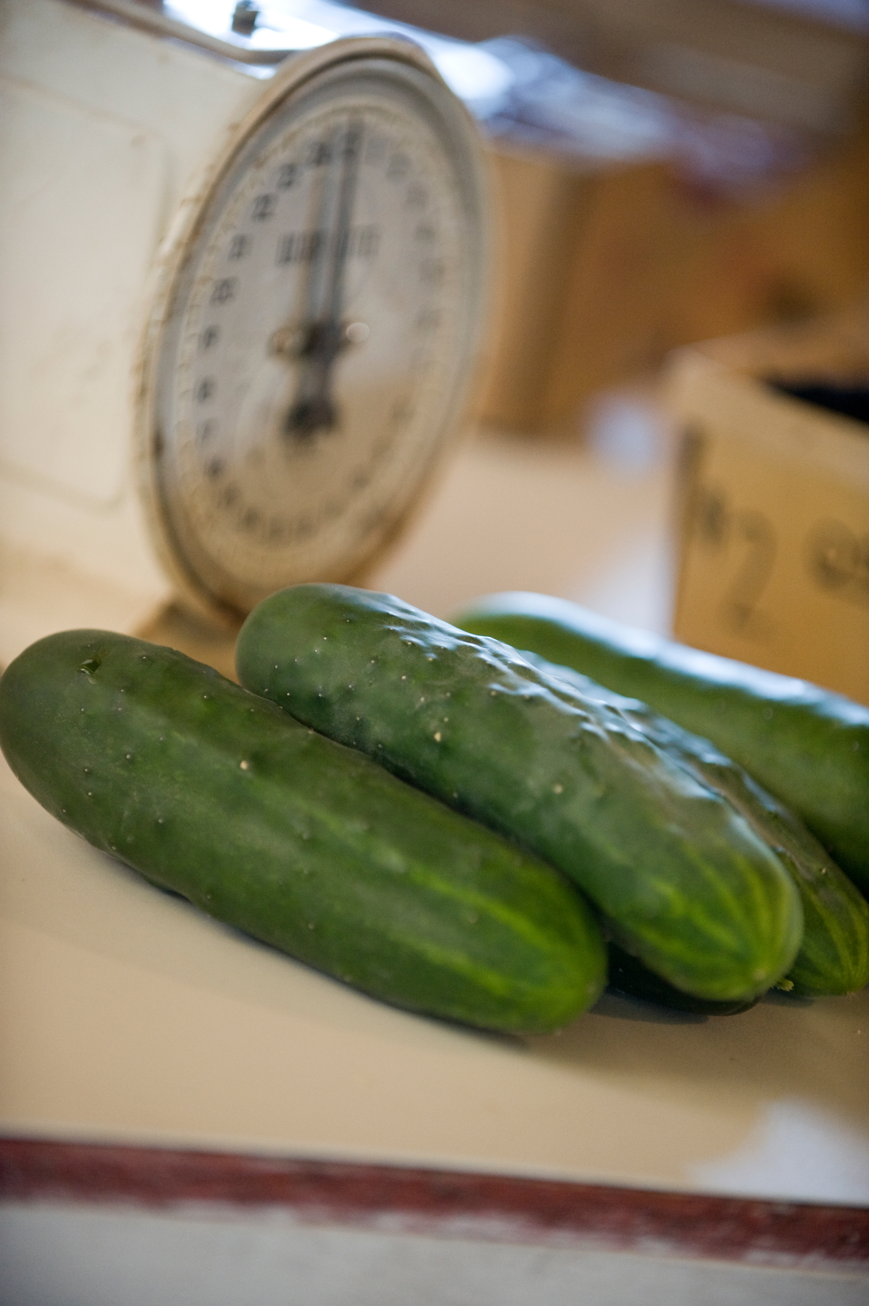Cucumber Varieties and How to Use Them