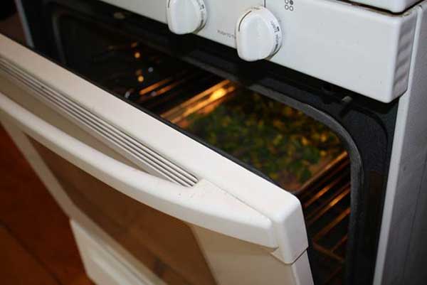Home Food Drying - 6 Things You Need to Know