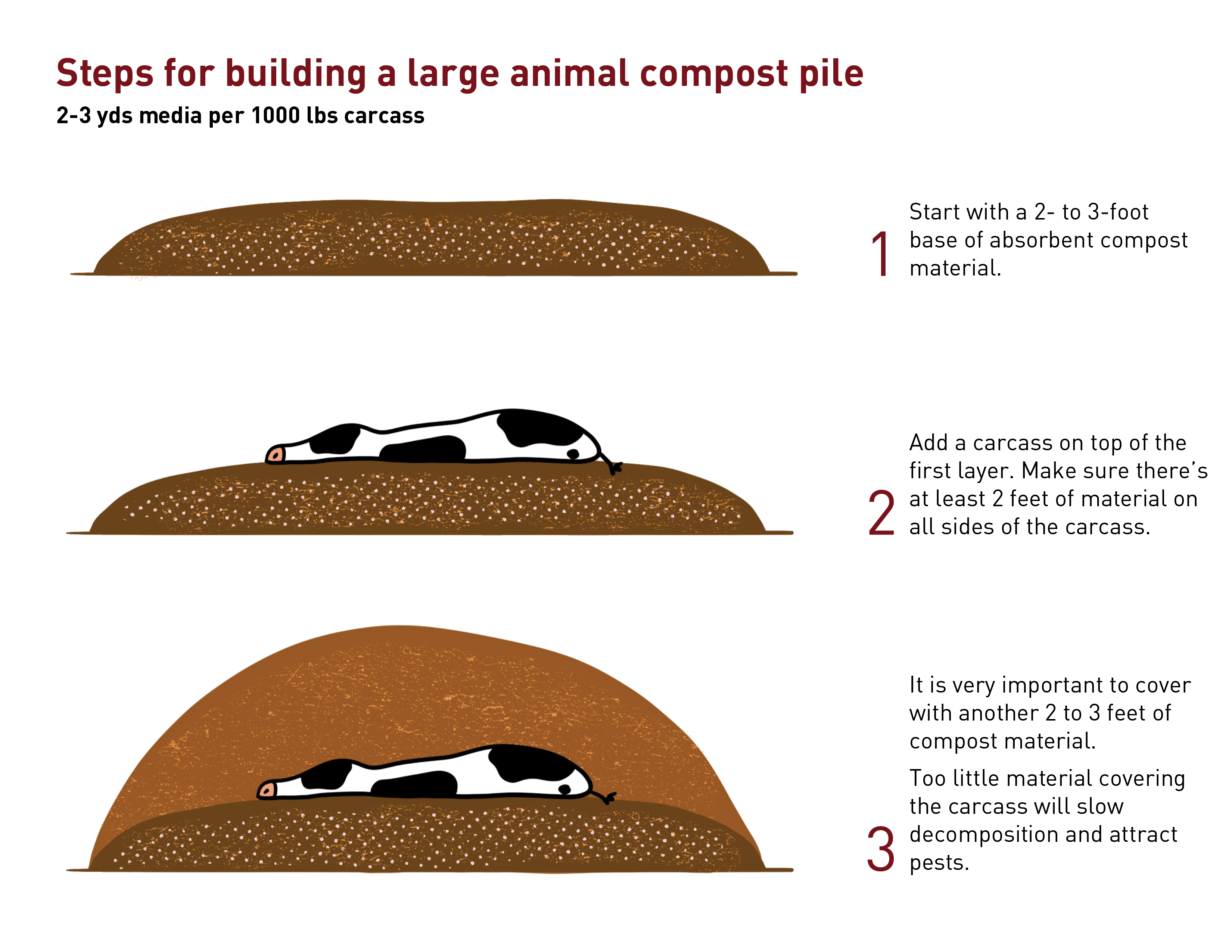 Diagram of a compost pile for composting a large animal, in this case, a cow. 