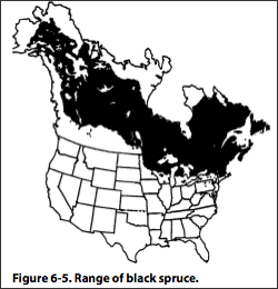Map of black spruce range in Canada and the United States