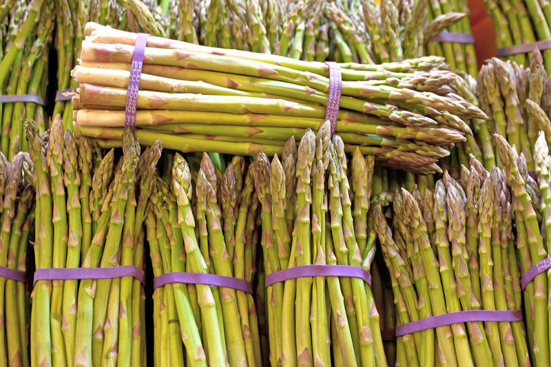 asparagus root