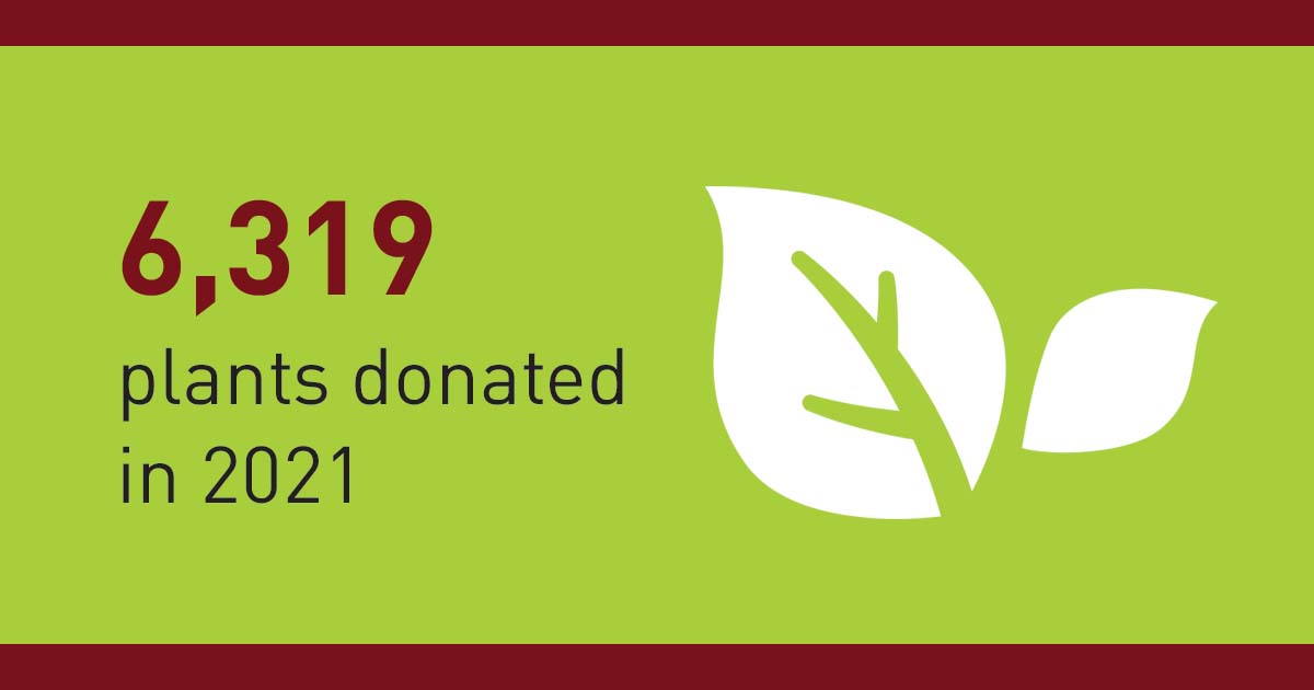 6,319 plants donated in 2021