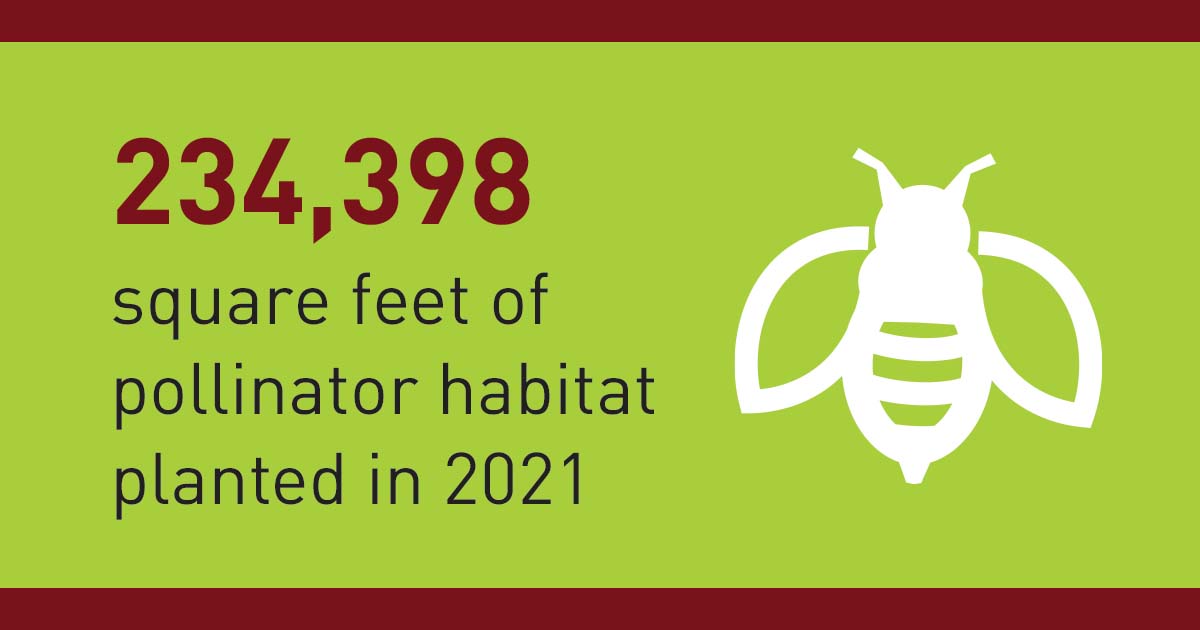234,398 square feet of pollinator habitat planted in 2021
