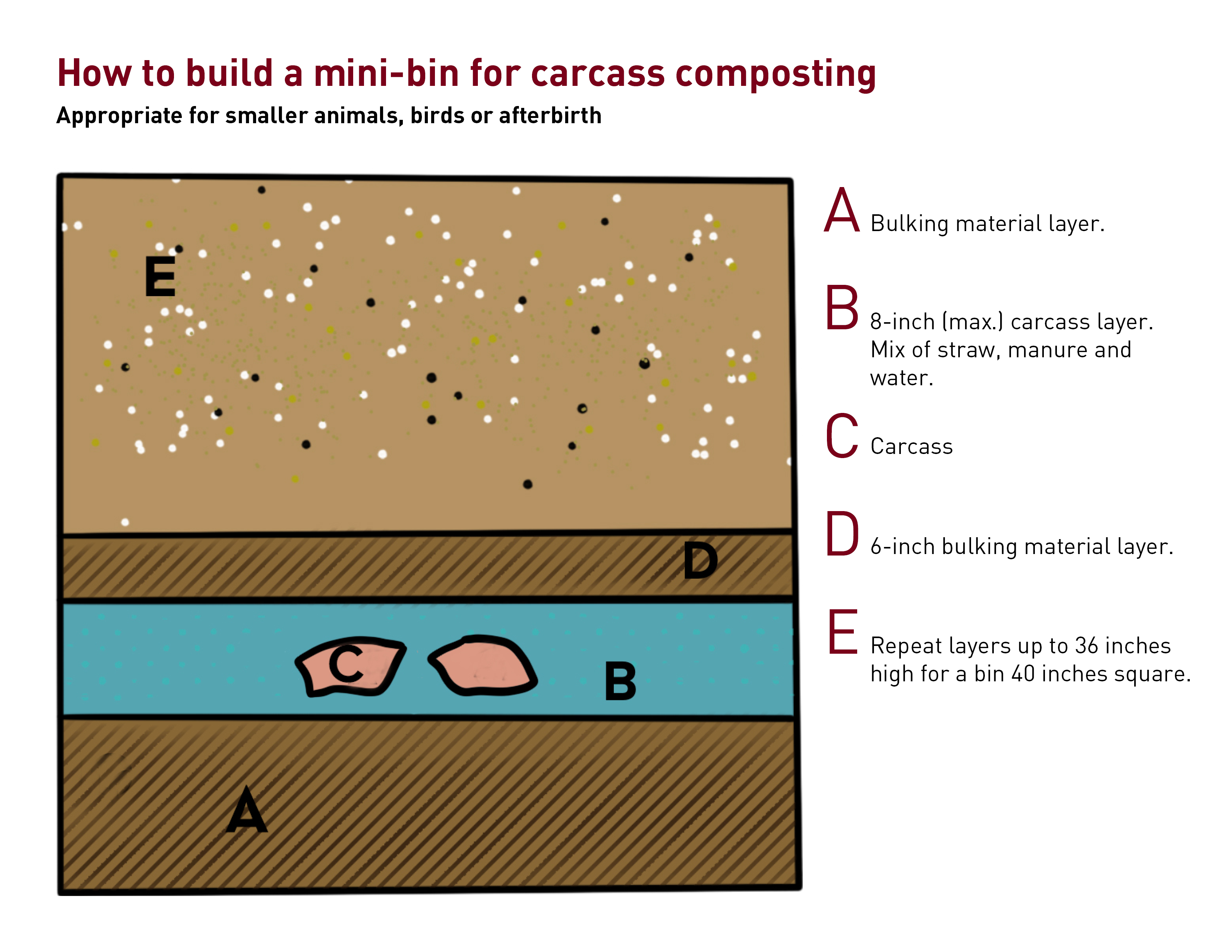 Diagram of the layers of a mini-bin for composting animals and animal parts.