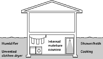 Interior moisture sources in basement.