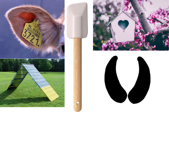 frame, animal, spatula, bird house, livestock ear tag