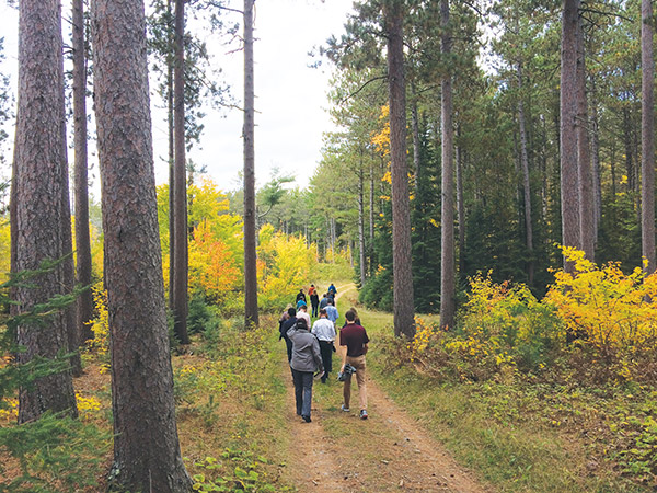 Group of people walking through woods