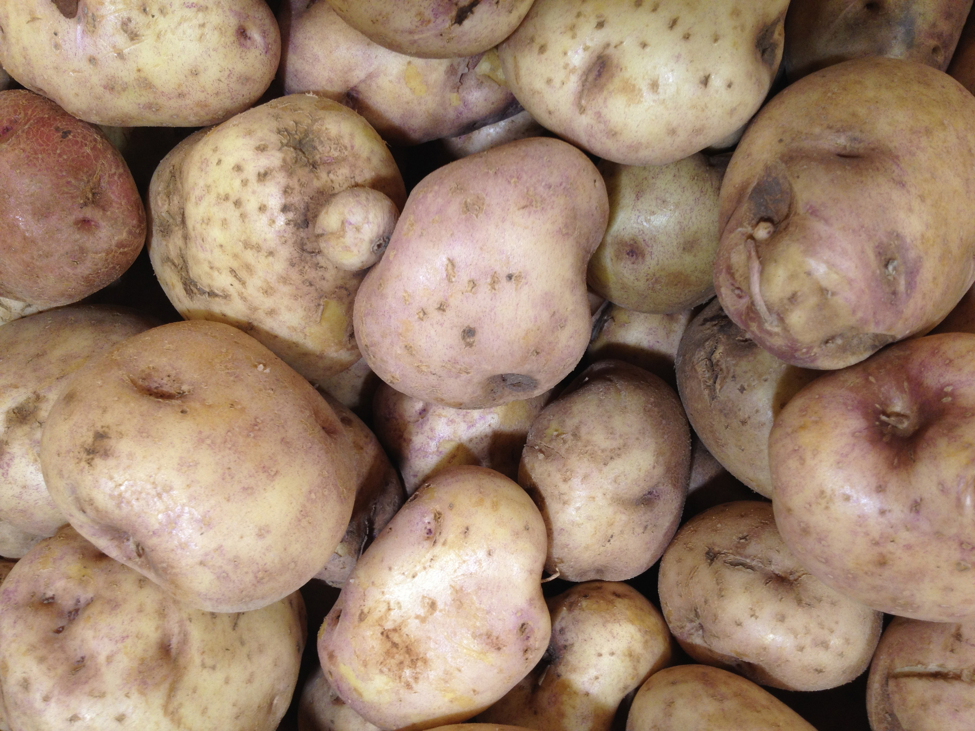 All About Potatoes - How to Pick, Prepare & Store