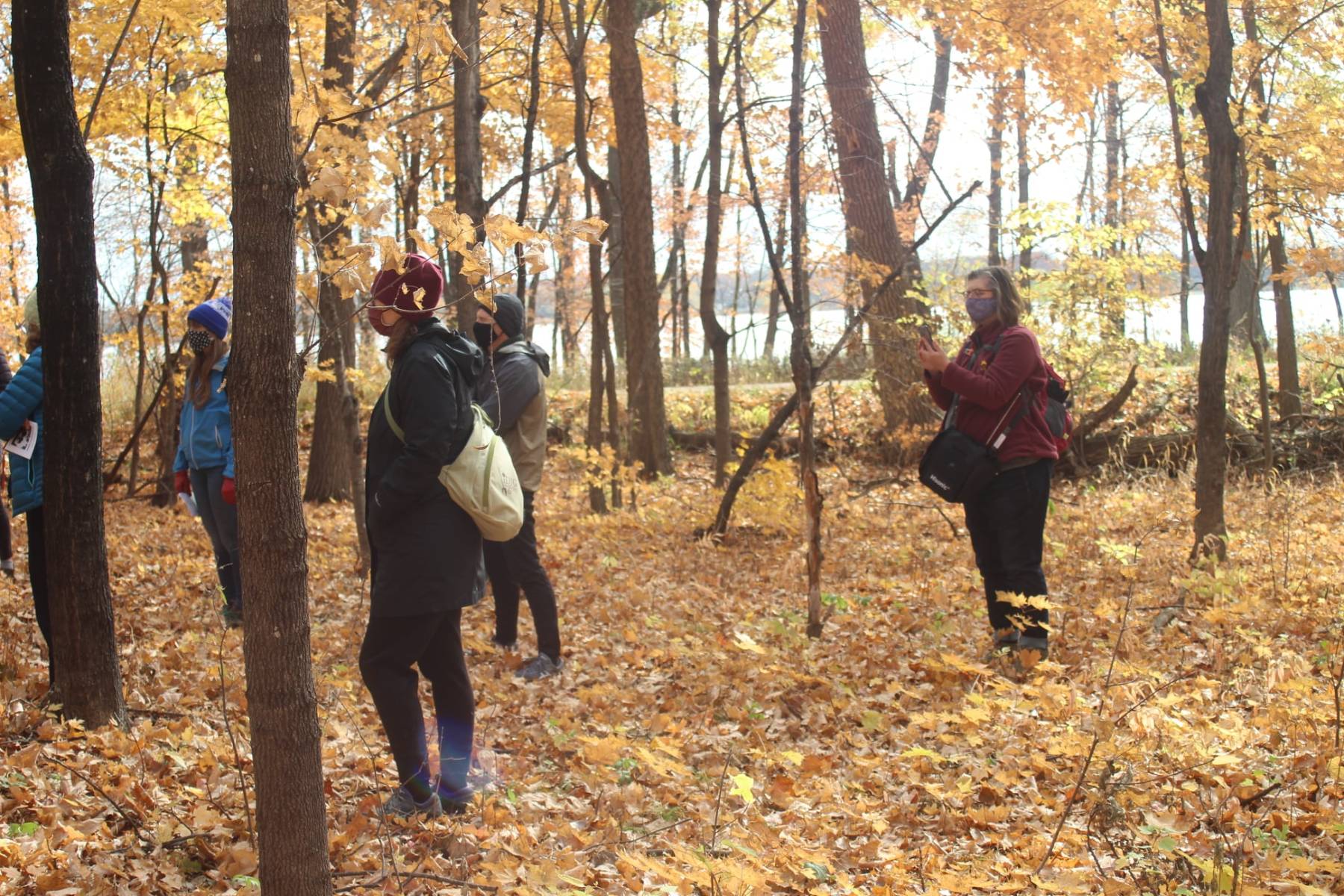 Adults in a fall woods with yellow leaves on trees and ground.
