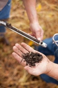 soil sampling with probe