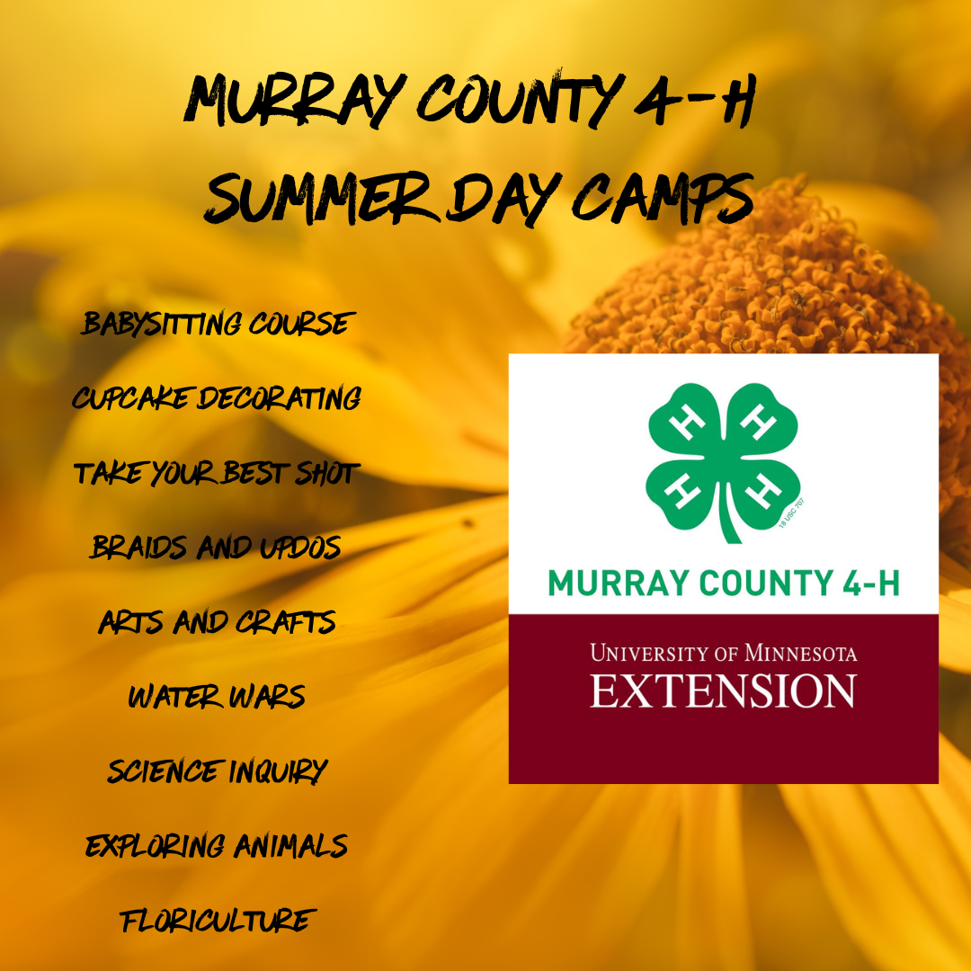 Murray County 4-H Summer Day Camp 