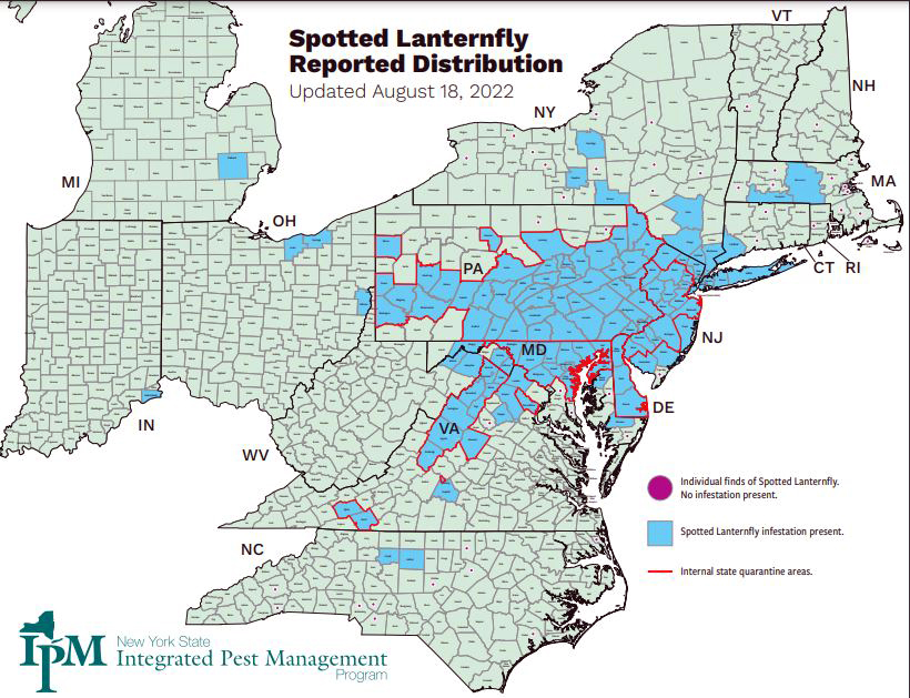 Map of locations where spotted lanternfly has been spotted. Most of the state of Pennsylvania and spots throughout the northeastern sea coast plus a few places in Michigan and Ohio are shaded in blue to indicate infestations.