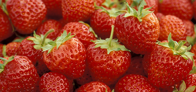 red, ripe strawberries