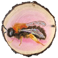 Oil on wood painting of Clark's miner bee.