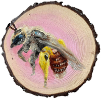 Oil on wood painting of a red-bellied miner bee.