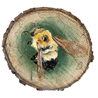 Oil on wood painting of two-spotted bumble bee.