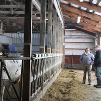 Dana Adams stands with dairy farmer in the barn as one cow looks at camera