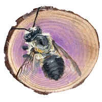 Oil on wood painting of Megachile gemula