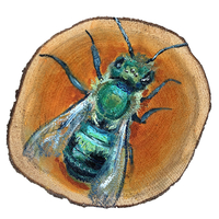 Oil on wood painting of orchard mason bee.