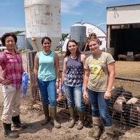 Yuzhi Li stands with three women and some pigs