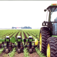 A green tractor pulling tillage equipment in a field of short plants. Tilling is being done between rows of plants.